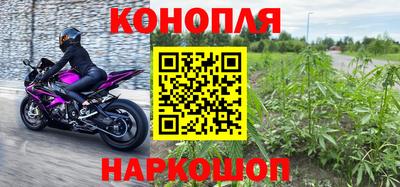 ПСИЛОЦИБИНОВЫЕ ГРИБЫ Бийск