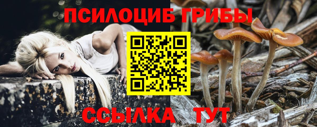 Псилоцибиновые грибы Magic Shrooms Кизляр